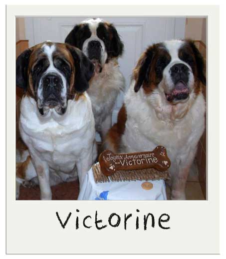 Victorine et ses amis